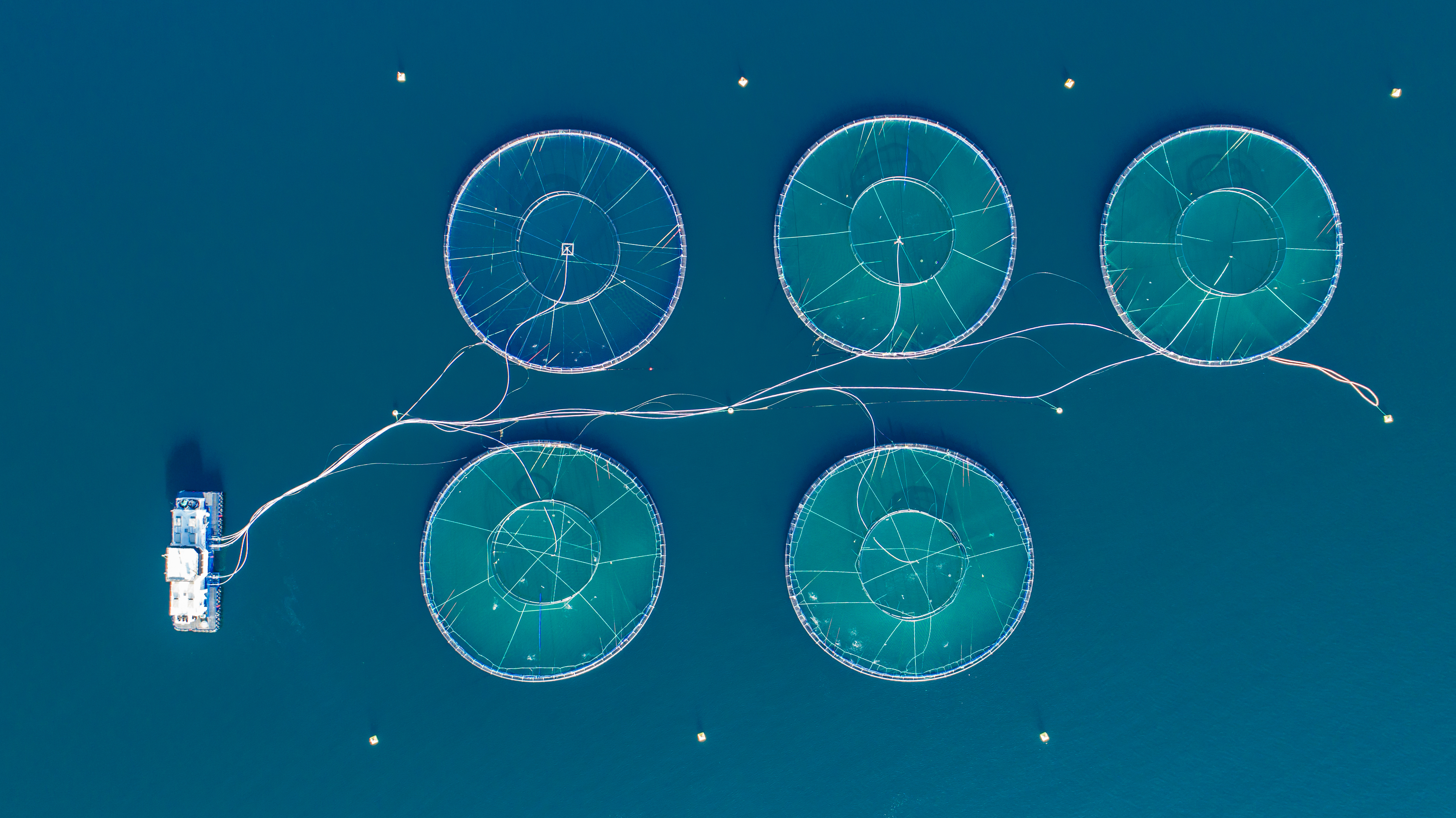 banner-feature
